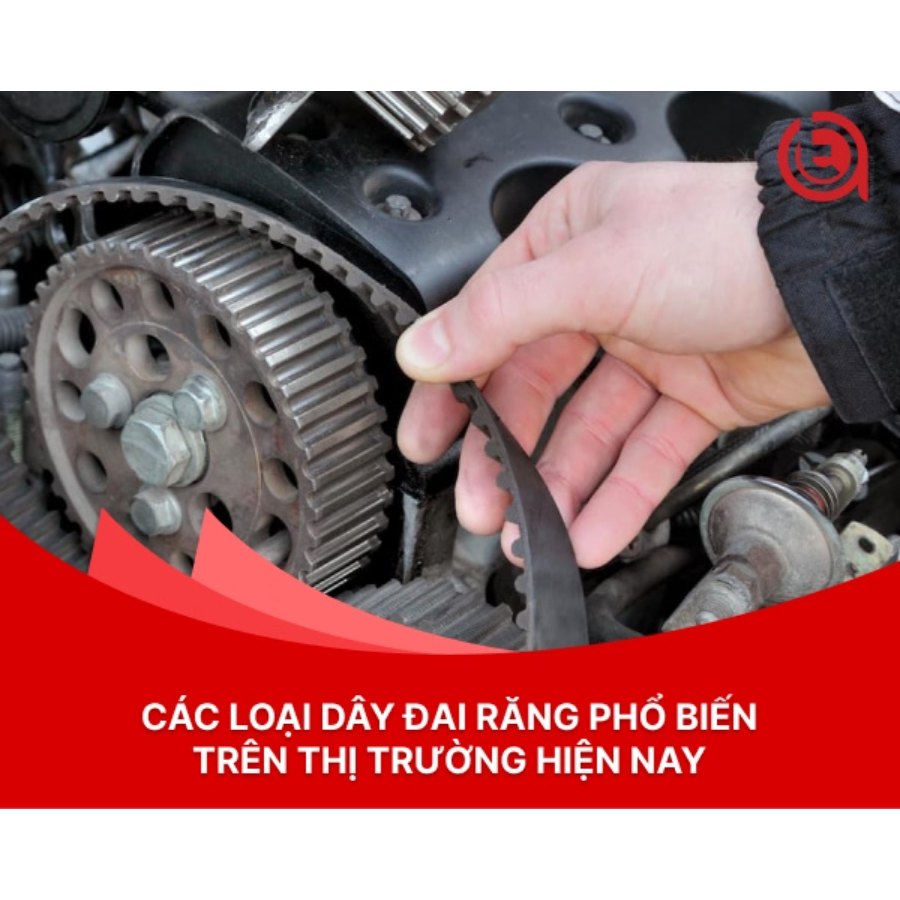 Các loại dây đai răng phổ biến trên thị trường hiện nay