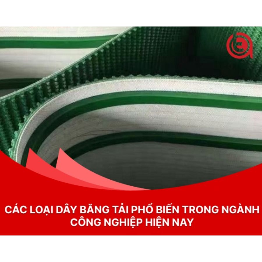 Các loại dây băng tải phổ biến trong ngành công nghiệp